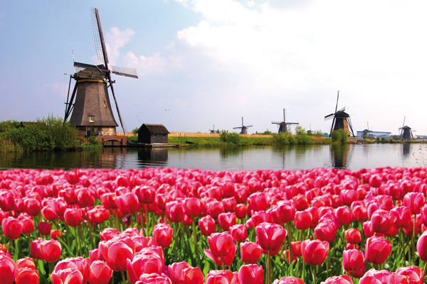 Reise "Blumenparadies Holland 2022", Der Schmidt