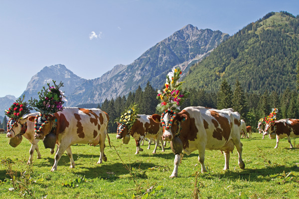 Reise "Herbsttage in Südtirol mit Almabtrieb 2023", Der Schmidt