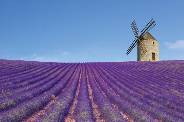 Reise "Provence zur Lavendelblüte", Der Schmidt
