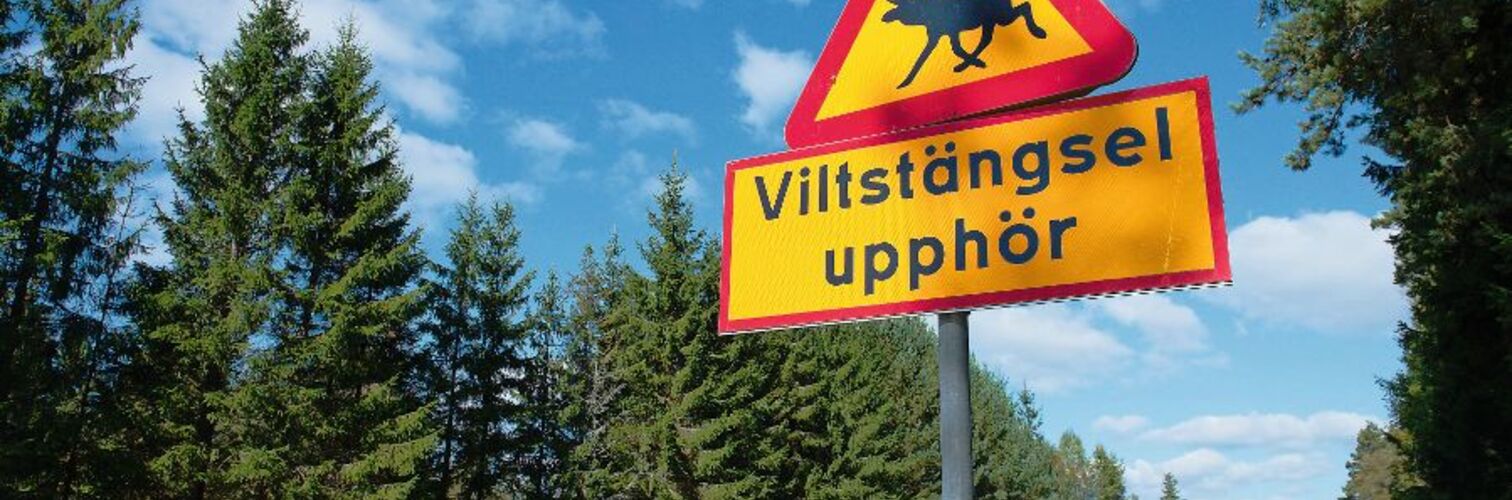 Verkehrszeichen in Schweden