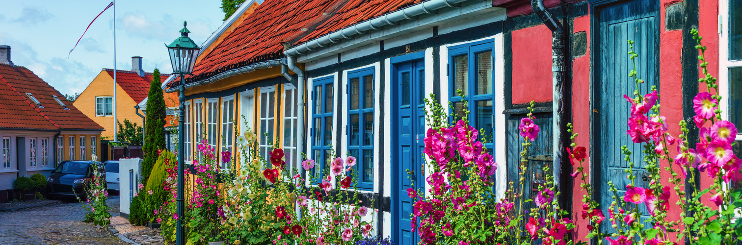 Straßen der Stadt Rönne auf der dänischen Insel Bornholm sind von bunten Stockrosenblüten gesäumt