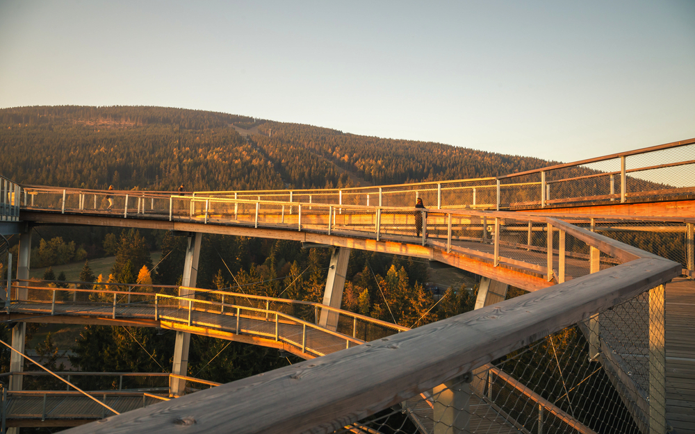Treetop walkway tower in Janske Lazne in autumn. Stezka korunami stromu. The Tree Top Walk.