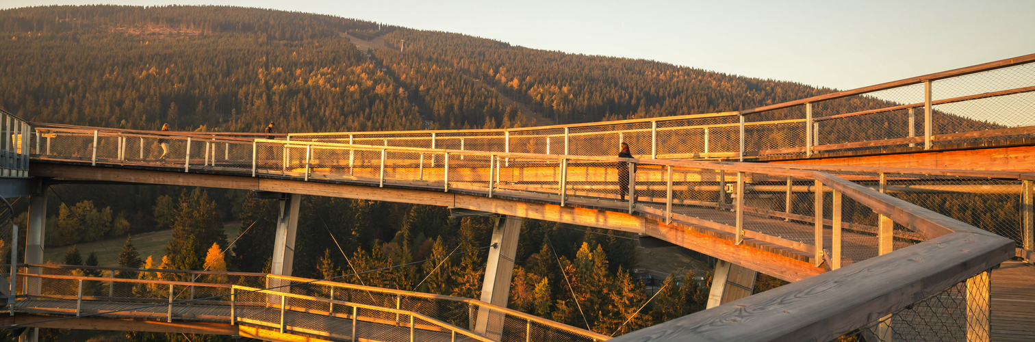 Treetop walkway tower in Janske Lazne in autumn. Stezka korunami stromu. The Tree Top Walk.