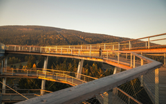 Treetop walkway tower in Janske Lazne in autumn. Stezka korunami stromu. The Tree Top Walk.