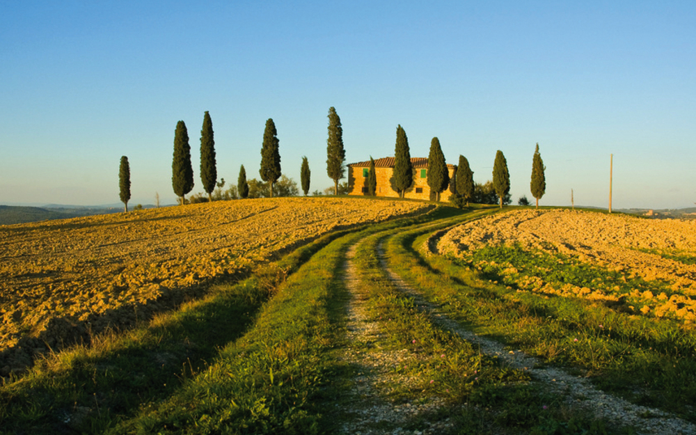 typical tuscan landscape