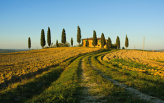 typical tuscan landscape