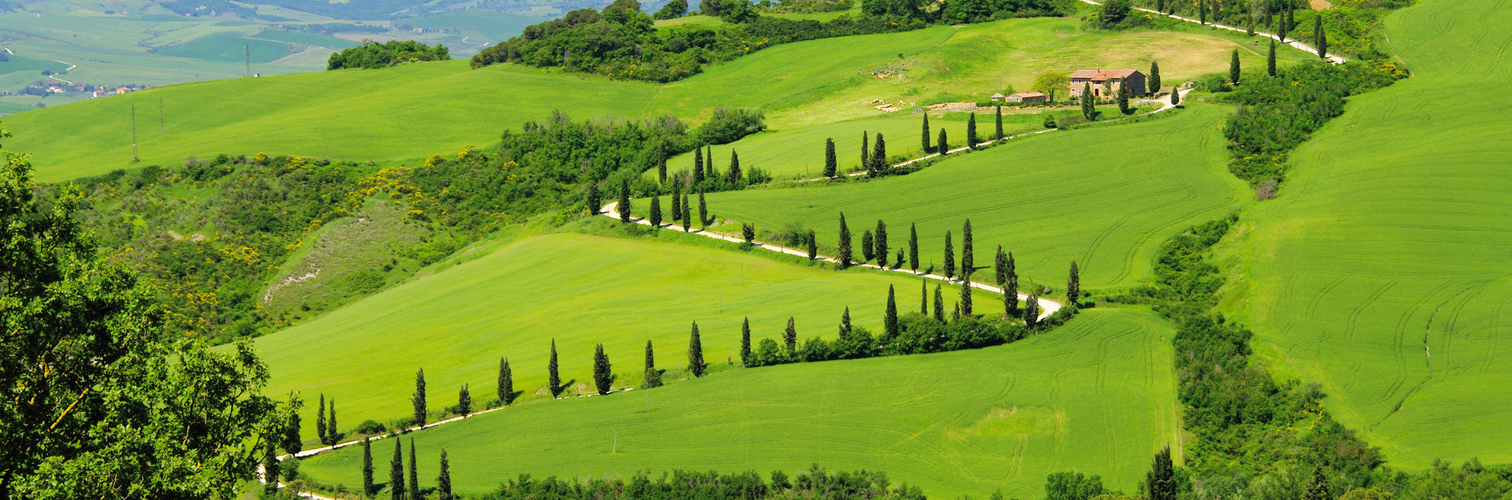 Zypressenkurven - cypress curve 20