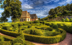 Boxwoods in Les Jardins de Marqueyssac, Dordogne, France