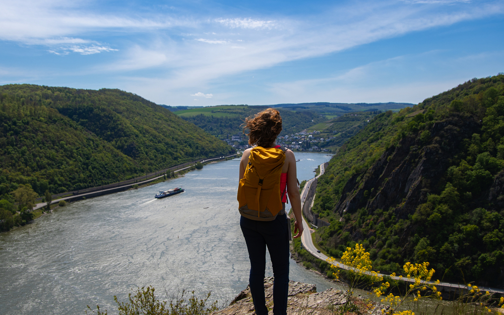 Vom Siebengebirge durch das Mittelrheintal zum Main