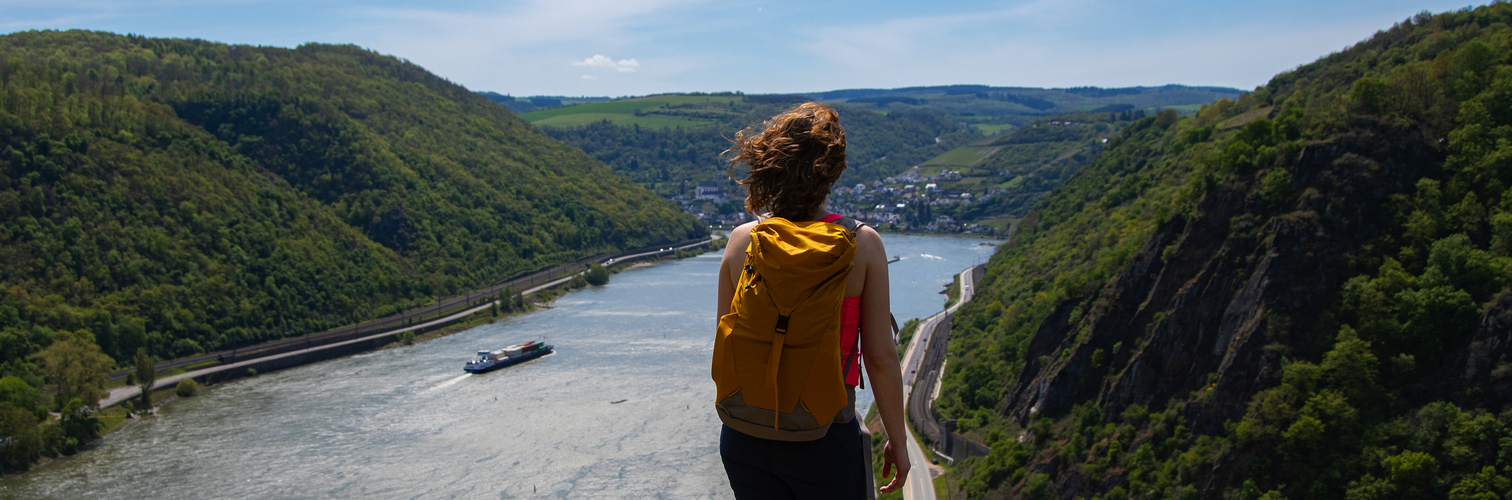 Vom Siebengebirge durch das Mittelrheintal zum Main