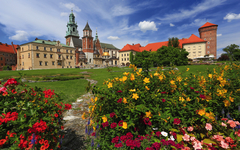 Cracow -  Wawel Castle