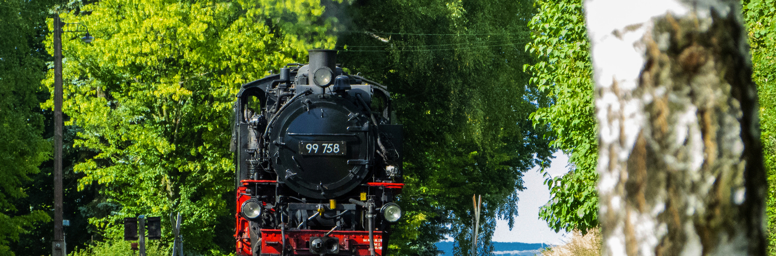 Zittauer Schmalspurbahn in Jonsdorf