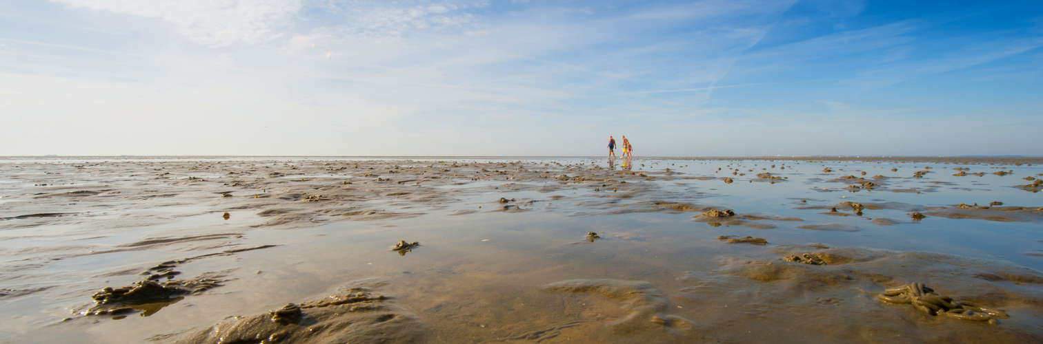 Weites Wattenmeer bei Ebbe vor der Insel Föhr