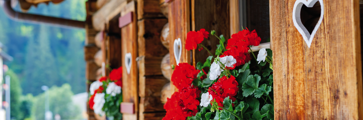 Typical bavarian or austrian wooden window with red geranium flo