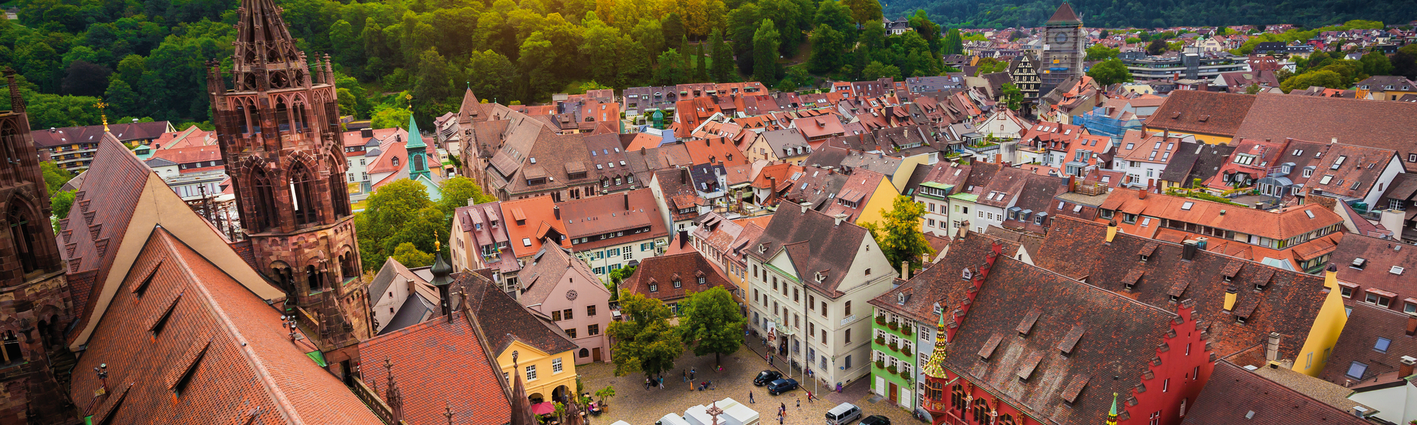 Schwarzwald trifft Elsass