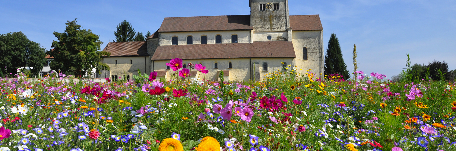 St. Georg Kirche auf der Insel Reichenau im Bodensee, Deutschland