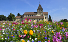 St. Georg Kirche auf der Insel Reichenau im Bodensee, Deutschland