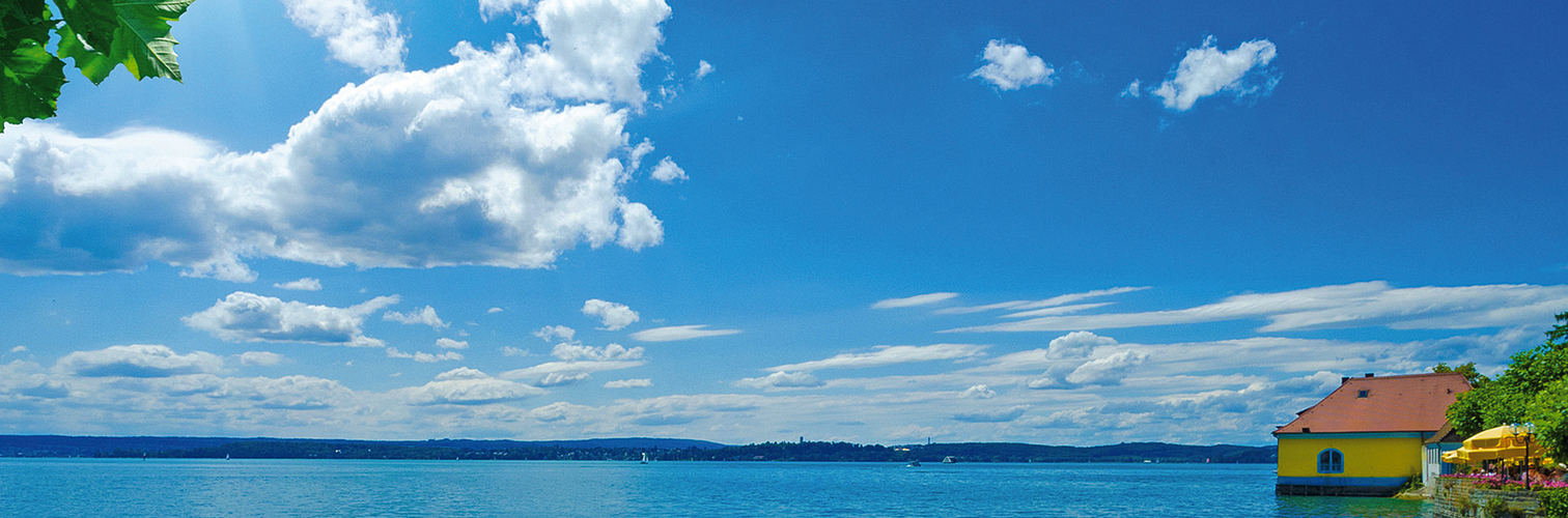 Ein Gru vom Bodensee