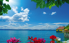 Ein Gru vom Bodensee
