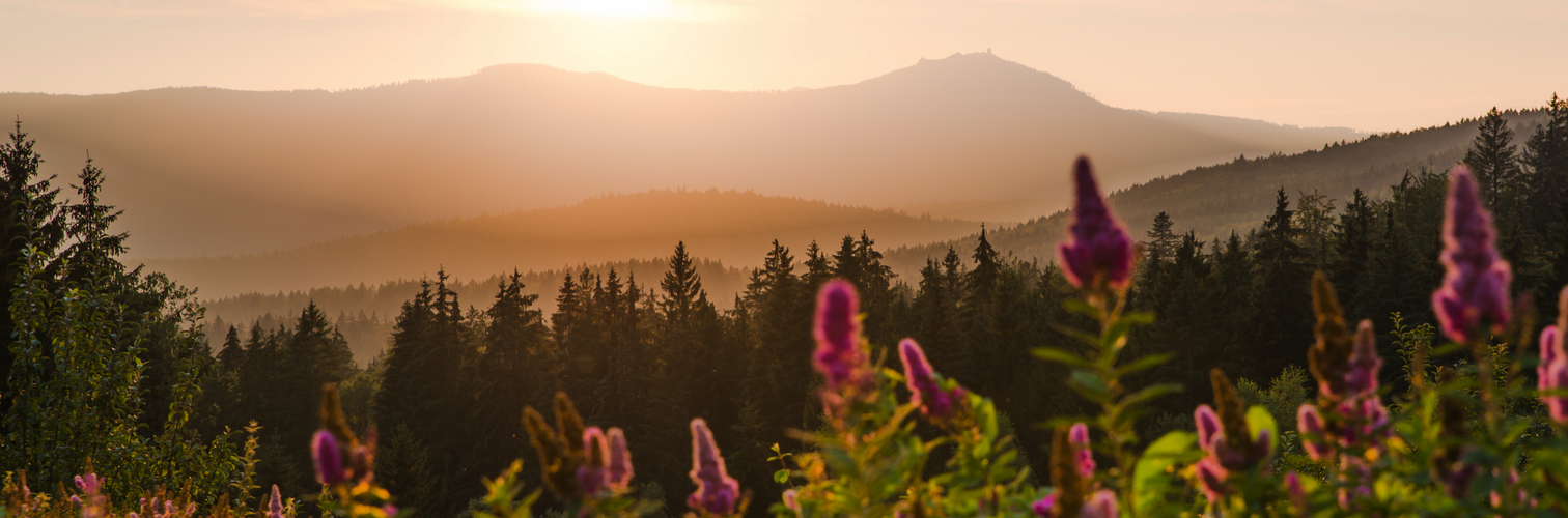 Großer Arber im Bayerischen Wald bei Sonnenuntergang