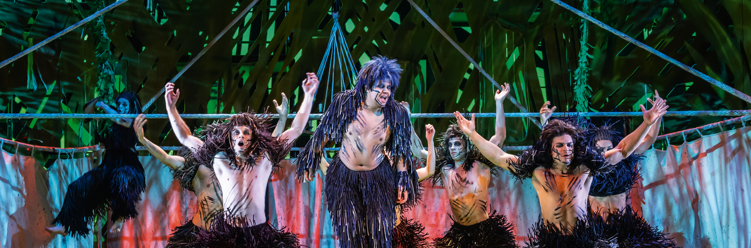 TARZAN -  das Musical