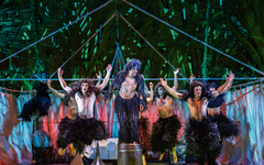 TARZAN -  das Musical