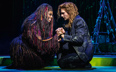 TARZAN -  das Musical