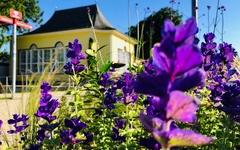 Landesgartenschau 2026 in Bad Nenndorf