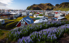 Insel Heimaey gehört zu Vestmannaeyjar, einer Inselgruppe südlich Islands