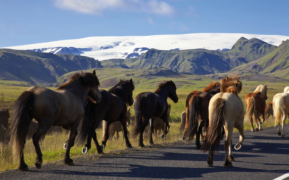 Norwegen und Island – Naturgewalten zum Greifen nah