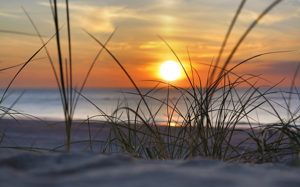 Strandhafer und Sonnenuntergang auf Borkum