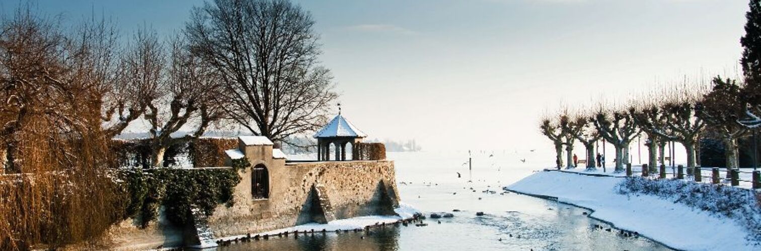 Winter am Bodensee