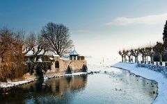 Winter am Bodensee