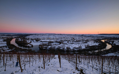 Weinort Nordheim am Main inmitten der Weinberge an der Volkacher Mainschleife im Winter