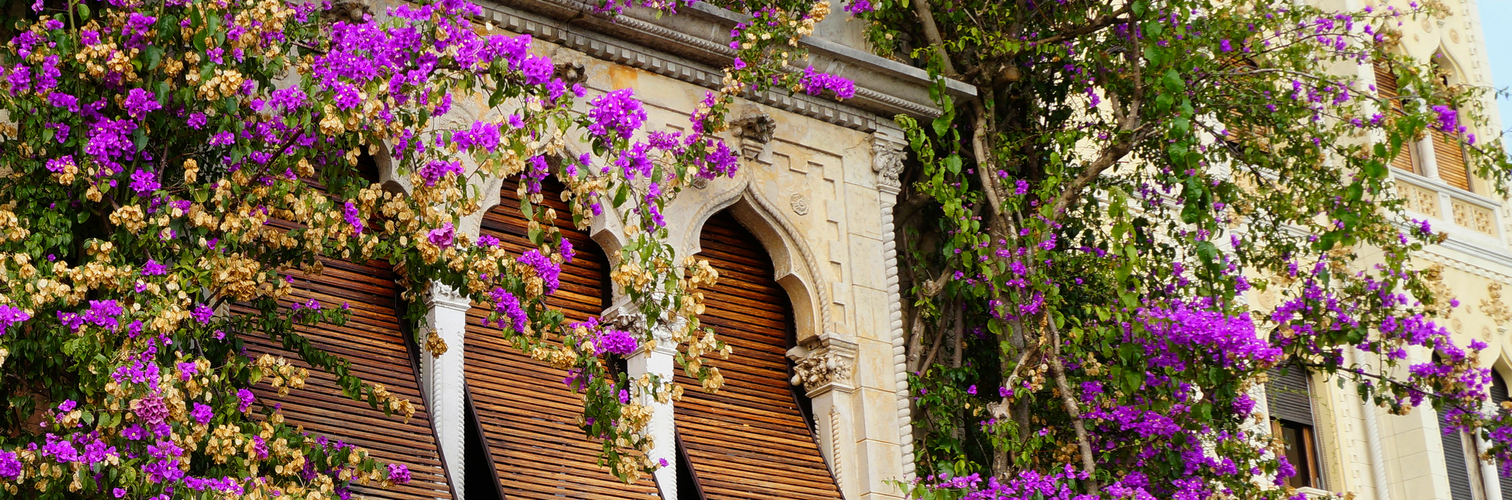 alte venezianischen Villa mit rosa Blumen auf der Isola del Garda
