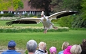 Weltvogelpark in Walsrode