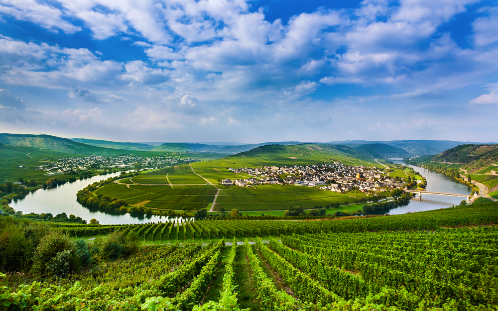 berühmte Moselschleife mit Weinbergen