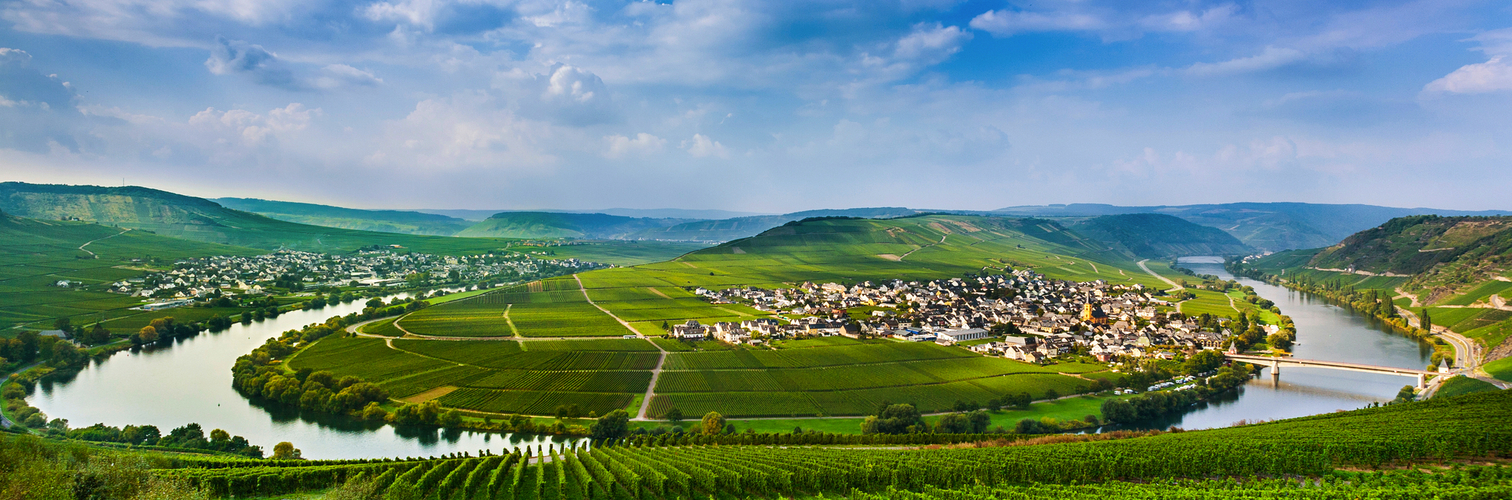 berühmte Moselschleife mit Weinbergen