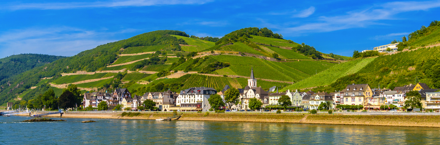 Weinberge in Rüdesheim 