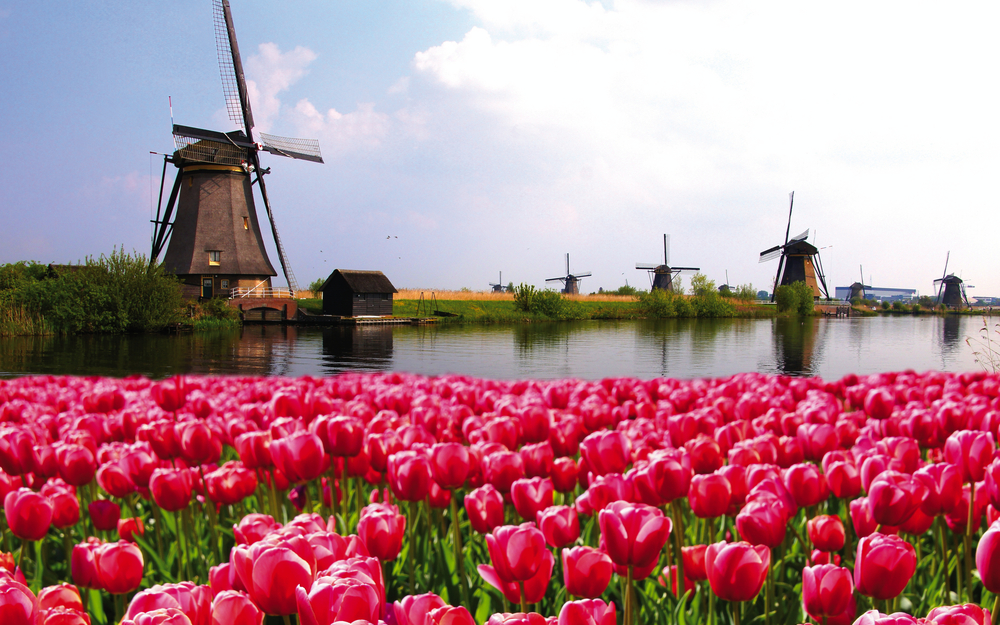 Grachtenzauber und Tulpenmeer