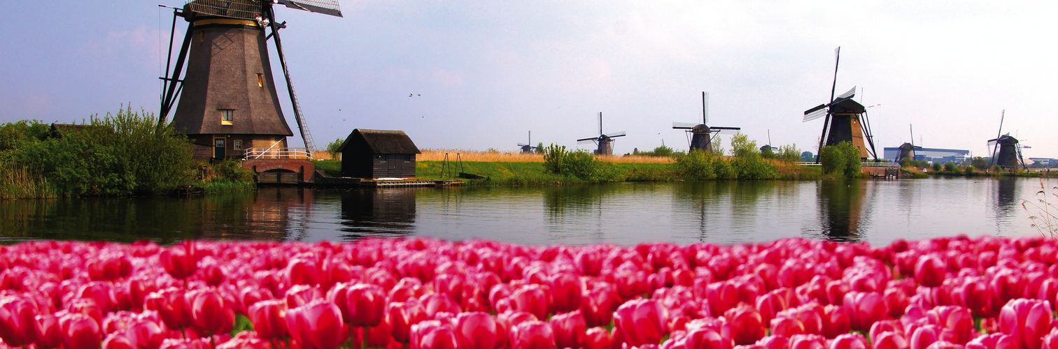Grachtenzauber und Tulpenmeer