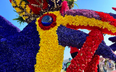 Grachtenzauber und Tulpenmeer