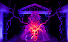 IJsbeelden – Eisskulpturen-Festival 2027