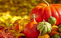 Herbst-Saison Dekoration mit Kürbis und Laub 