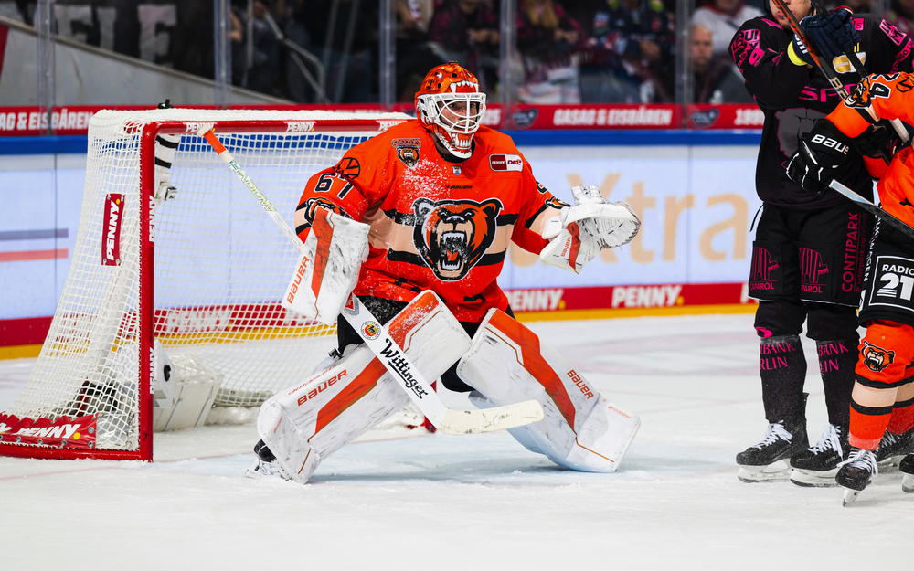 Grizzlys, action und Autostadt
