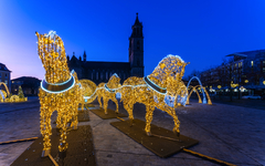 Magdeburger Weihnachtsmarkt