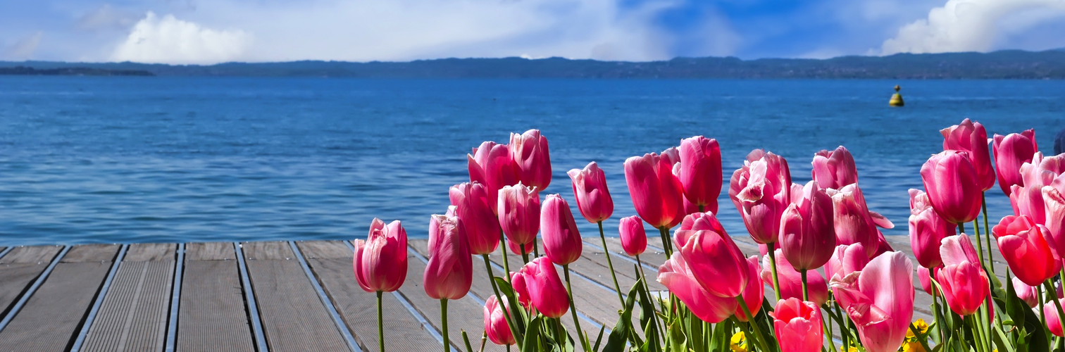 Frühling am Gardasee