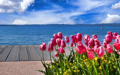 Frühling am Gardasee