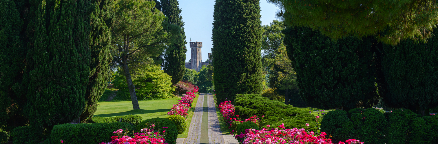 Gartenweg im Parco Sigurtà mit Zypressen und blühenden Rosen.
