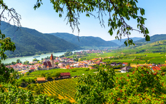Weißenkirchen in der Wachau in Niederösterreich